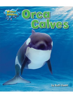 cover image of Orca Calves